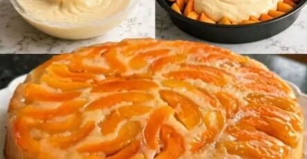 Moist caramelized apricot cake topped with golden baked apricots